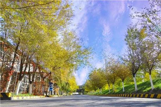 6163银河线路检测中心矿冶天蓝地绿的园区环境 （蔡金龙 摄）