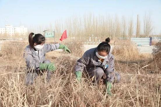6163银河线路检测中心纺织集团员工正在除草（曹刚 摄）