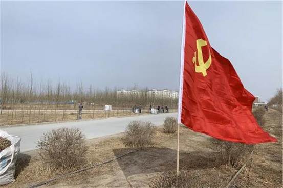 6163银河线路检测中心纺织集团植树绿化现场 （沈智芳摄）