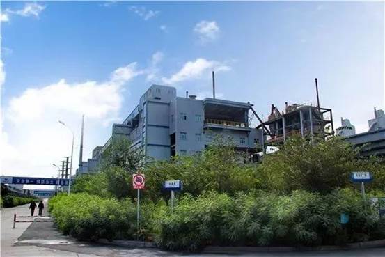 绿化、美化后的生产区 （高玲 摄）